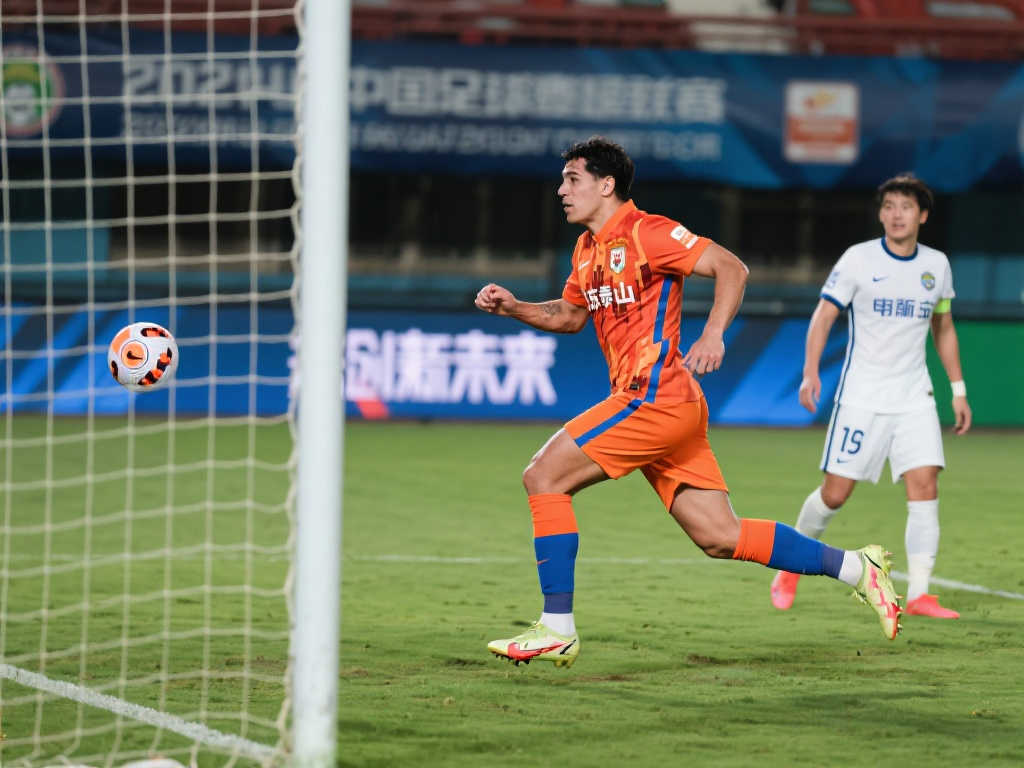 运动场地 运动场地